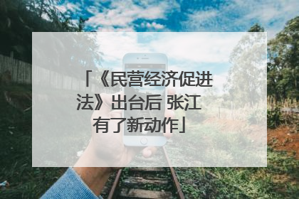 《民营经济促进法》出台后 张江有了新动作