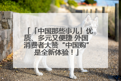 「中国那些事儿」优质、多元又便捷 外国消费者大赞“中国购”是全新体验！