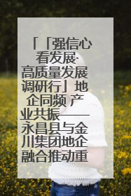 「强信心 看发展·高质量发展调研行」地企同频 产业共振——永昌县与金川集团地企融合推动重大项目建设
