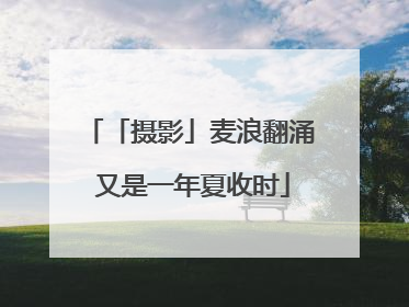 「摄影」麦浪翻涌 又是一年夏收时