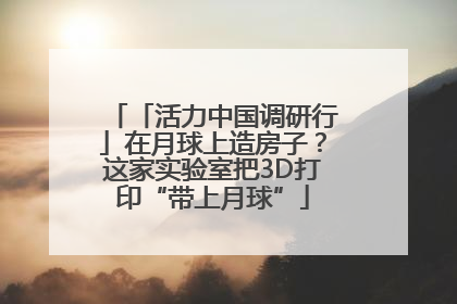「活力中国调研行」在月球上造房子？这家实验室把3D打印“带上月球”
