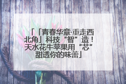 「青春华章·重走西北角」科技“智”造！天水花牛苹果用“芯”甜透你的味蕾