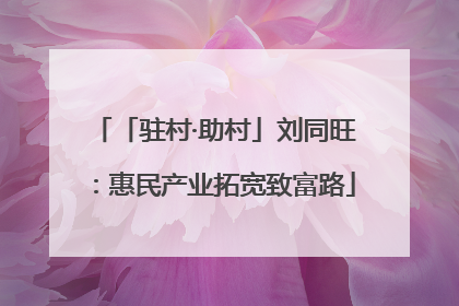 「驻村·助村」刘同旺：惠民产业拓宽致富路