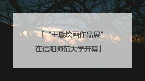 “王璇绘画作品展”在信阳师范大学开幕
