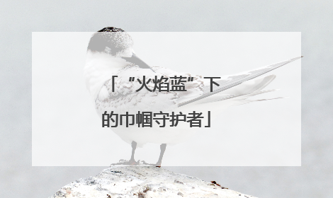 “火焰蓝”下的巾帼守护者