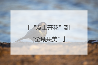 “点上开花”到“全域共美”