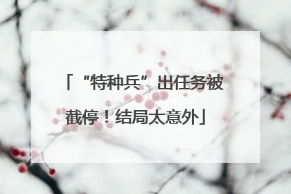 “特种兵”出任务被截停！结局太意外