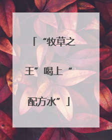 “牧草之王”喝上“配方水”