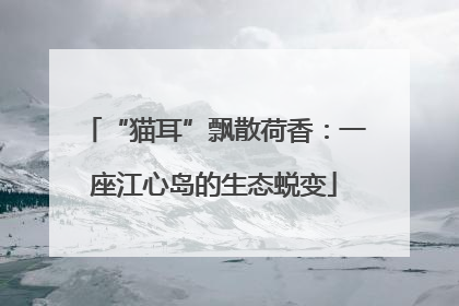 “猫耳”飘散荷香：一座江心岛的生态蜕变