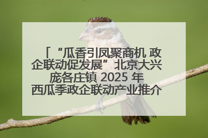 “瓜香引凤聚商机 政企联动促发展”北京大兴庞各庄镇 2025 年西瓜季政企联动产业推介活动圆满举行