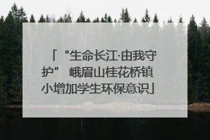 “生命长江·由我守护” 峨眉山桂花桥镇小增加学生环保意识