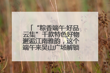 “粽香端午·好品云集”千款特色好物邂逅江南雅韵，这个端午来吴山广场解锁“浙里烟火气”