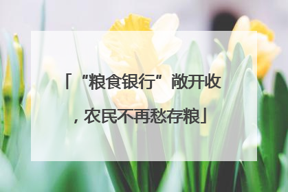 “粮食银行”敞开收，农民不再愁存粮
