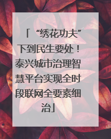 “绣花功夫”下到民生要处！泰兴城市治理智慧平台实现全时段联网全要素细治