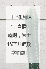 “供销人” 直播 吆喝，为土特产开辟数字销路