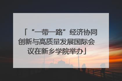 “一带一路”经济协同创新与高质量发展国际会议在新乡学院举办