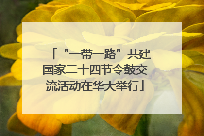 “一带一路”共建国家二十四节令鼓交流活动在华大举行