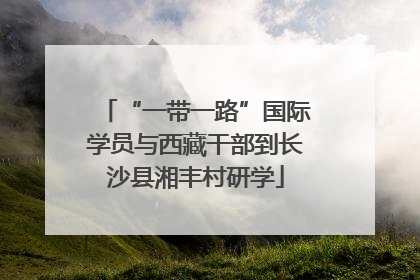 “一带一路”国际学员与西藏干部到长沙县湘丰村研学