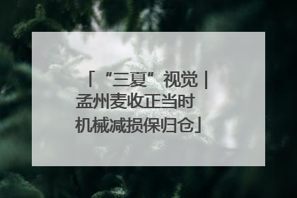 “三夏”视觉｜孟州麦收正当时 机械减损保归仓