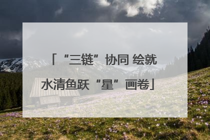 “三链”协同 绘就水清鱼跃“星”画卷