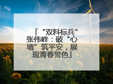 “双料标兵”张伟峰：破“心墙”筑平安，展现青春警色
