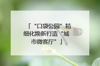 “口袋公园”精细化焕新打造“城市微客厅”
