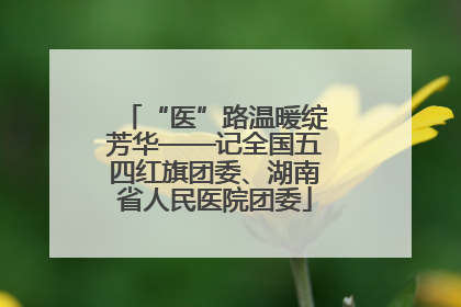 “医”路温暖绽芳华——记全国五四红旗团委、湖南省人民医院团委
