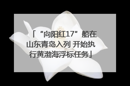 “向阳红17”船在山东青岛入列 开始执行黄渤海浮标任务