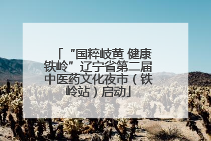 “国粹岐黄 健康铁岭”辽宁省第二届中医药文化夜市（铁岭站）启动