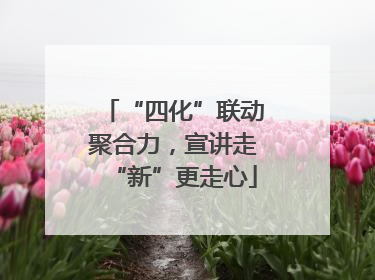 “四化”联动聚合力，宣讲走“新”更走心
