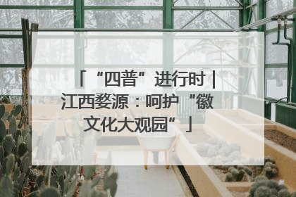 “四普”进行时｜江西婺源：呵护“徽文化大观园”