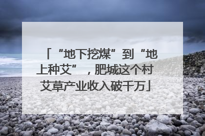 “地下挖煤”到“地上种艾”，肥城这个村艾草产业收入破千万