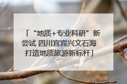 “地质+专业科研”新尝试 四川宜宾兴文石海打造地质旅游新标杆