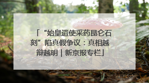“始皇遣使采药昆仑石刻”陷真假争议：真相越辩越明｜新京报专栏