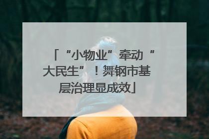 “小物业”牵动“大民生”！舞钢市基层治理显成效