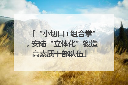 “小切口+组合拳”，安陆“立体化”锻造高素质干部队伍