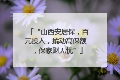 “山西安居保，百元投入，撬动高保额，保家财无忧”