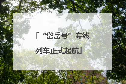 “岱岳号”专线列车正式起航