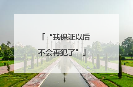 “我保证以后不会再犯了”