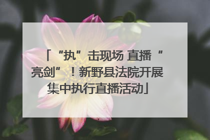 “执”击现场 直播“亮剑”！新野县法院开展集中执行直播活动