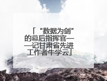 “数据为剑”的幕后指挥官——记甘肃省先进工作者牛学云