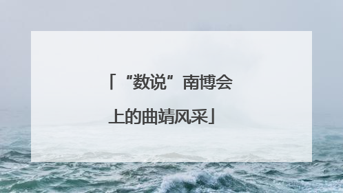 “数说”南博会上的曲靖风采