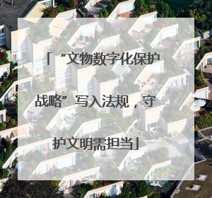 “文物数字化保护战略”写入法规，守护文明需担当