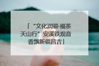 “文化润疆·福茶天山行”安溪铁观音香飘新疆昌吉