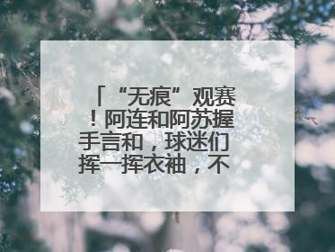 “无痕”观赛！阿连和阿苏握手言和，球迷们挥一挥衣袖，不留下一片云彩