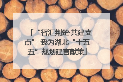 “智汇荆楚·共建支点” 我为湖北“十五五”规划建言献策