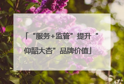 “服务+监管”提升“仰韶大杏”品牌价值