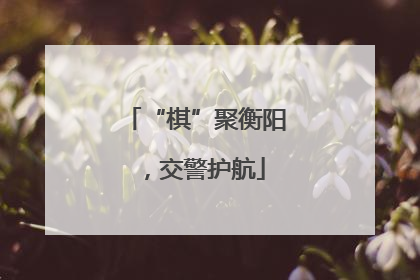“棋”聚衡阳，交警护航