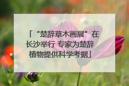 “楚辞草木画展”在长沙举行 专家为楚辞植物提供科学考据