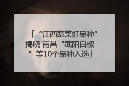 “江西蔬菜好品种”揭晓 南昌“武阳白椒”等10个品种入选